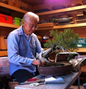 vince-owyoung-in-bonsai-studio