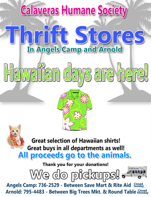 Hawaiian Days Are Here At The CHS Thrift Stores In Angels Camp & Arnold