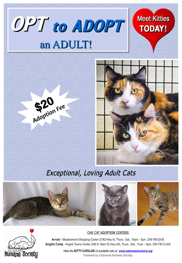 OPT TO ADOPT Adult