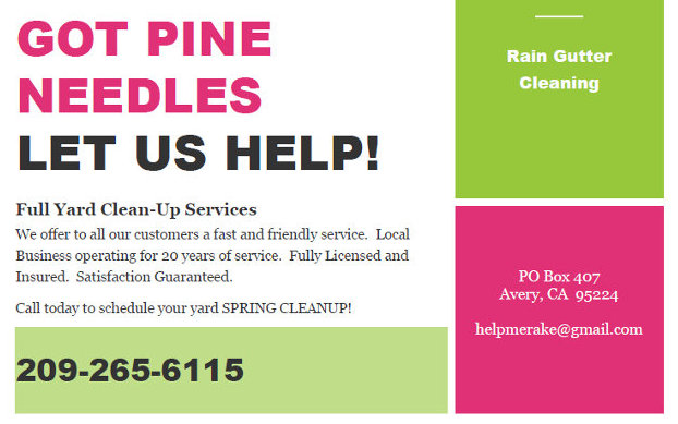 Got Pine Needles?  Need Them Gone? Call 209.265.6115