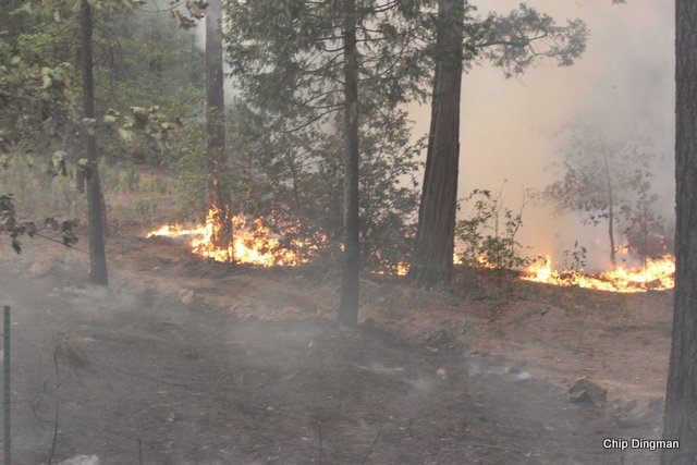 Big Creek Fire Update….Hwy 120 Now Open, 265 Acres & 5% Contained (Updated)