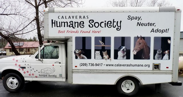 Calaveras Humane Society Welcome Four New Board Members