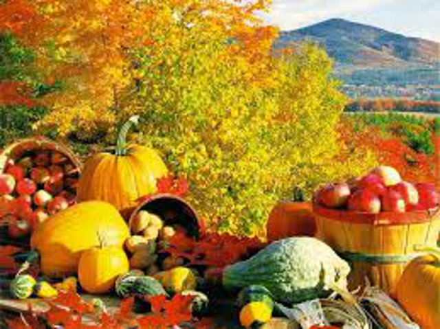 Shop Local! Sierra Hills, Angels Food & Sierra Hills Natural Food Markets. Weekly Specials Through September 29 & Celebrate Fall