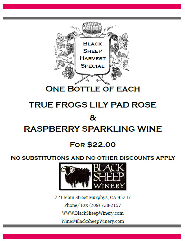 Black Sheep Winery Will Help You Sparkle