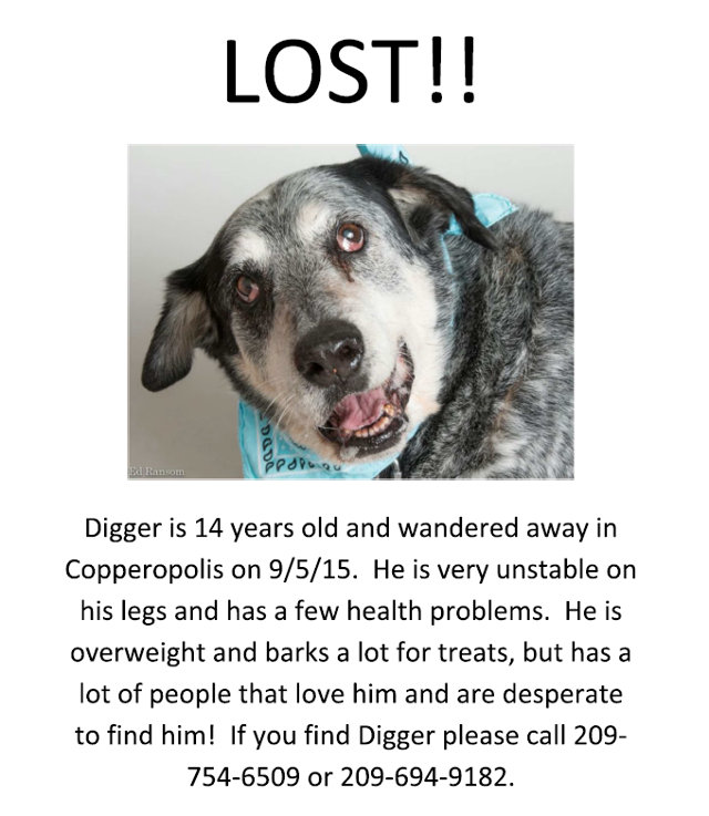 Digger Is Lost!  Have You Seen Him?