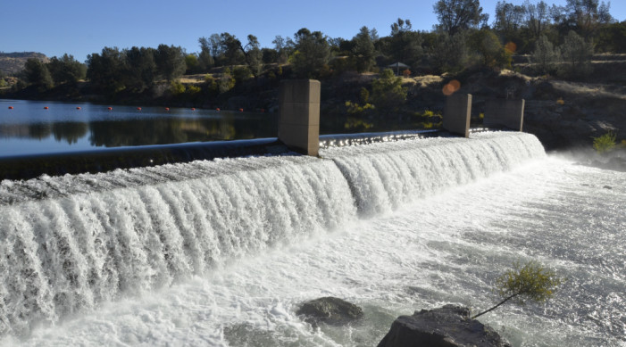 Feather River Hatchery Fish Ladder to Open Sept. 14
