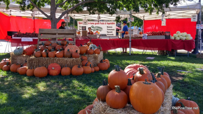 The Harvest Fest Is Underway In Copperopolis