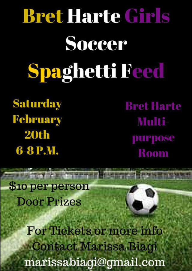 Help The Bret Harte Girls Soccer Team