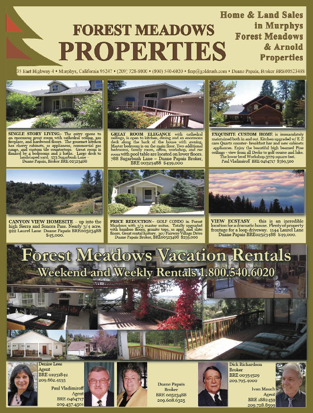 The Latest Listings From Forest Meadows Properties