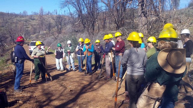 Stanislaus National Forest Donating Trees To Landowners (Updated)