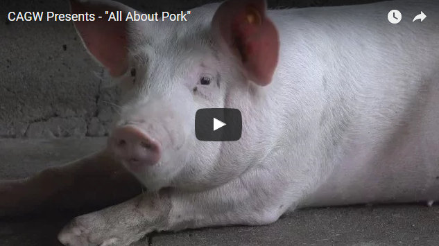 CAGW Releases 2016 Congressional Pig Book…Government Pork Is Alive & Well