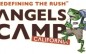 The Angels Camp City Council is Back in Action Tonight!