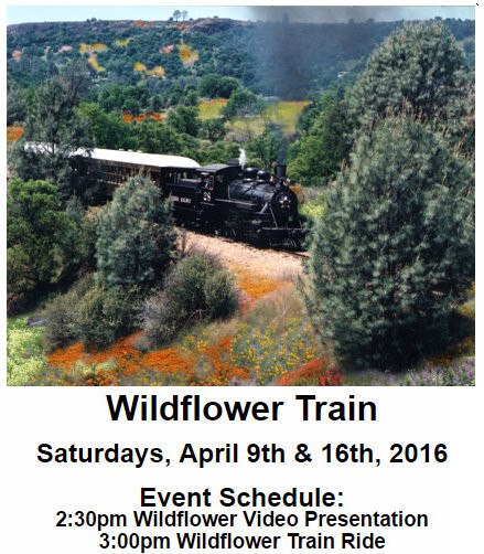 Celebrate Spring Aboard Railtown 1897’s Wildflower Train Behind the Famous Sierra No. 3 Tickets on Sale Now for Two Saturdays Only: April 9 & 16 (Opening This Weekend)