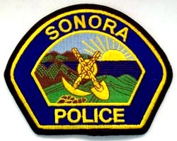 Vehicle Theft Arrest In Sonora