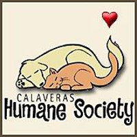 Annual Hawaiian Sale at Arnold Calaveras Humane Society Thrift Store!