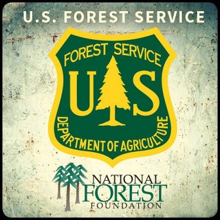 Update On Tree Mortality On The Stanislaus National Forest