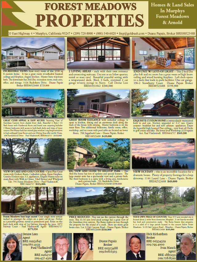 Beautiful Featured Listings From Forest Meadows Properties