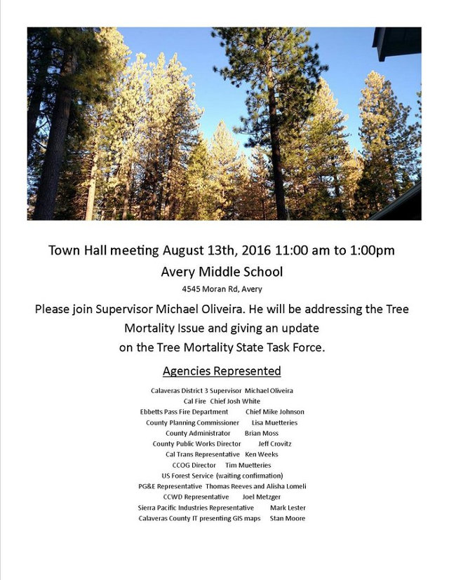 Tree Mortality Public Town Hall Meeting On August 13th