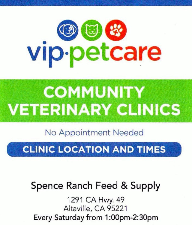 Weekly Veterinary Clinics At Spence Ranch Feed & Supply
