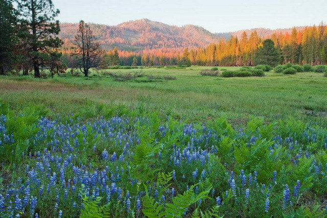 Four Hundred Acres Added To Yosemite National Park