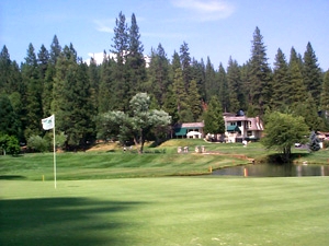 Sequoia Woods Mens Club Results
