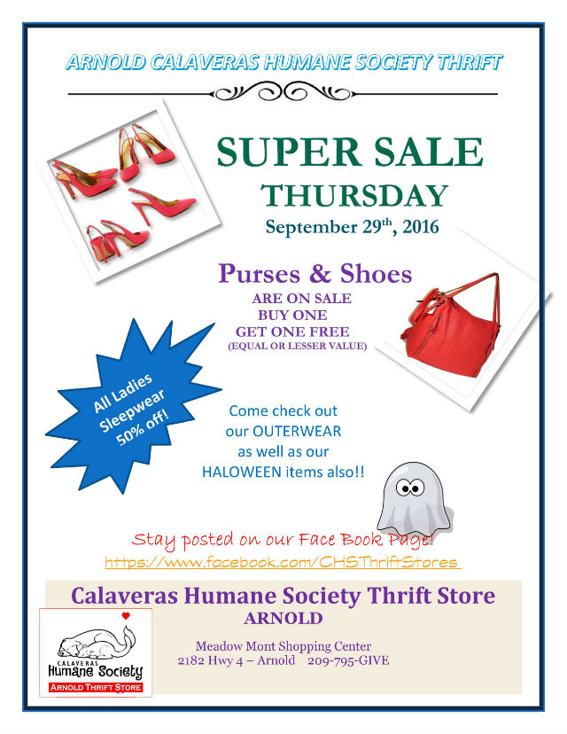 Bang For Your Buck At The CHS Thift Super Sale