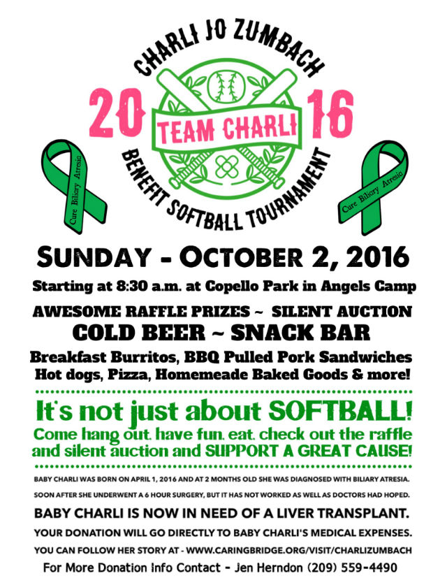 Team Charli Benefit Softball Tournament & Fundraiser