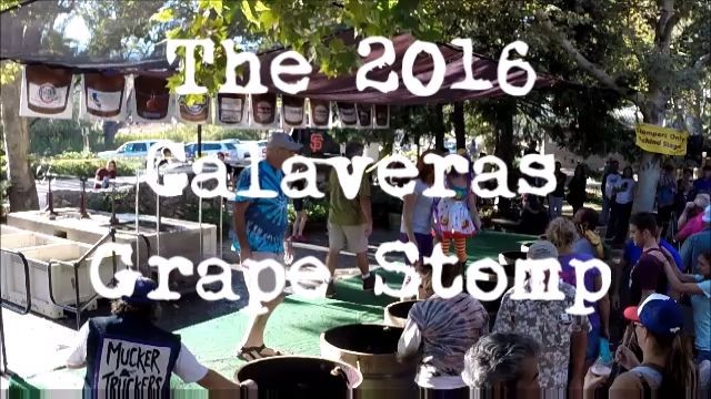 Calaveras Grape Stomp 2016 Video