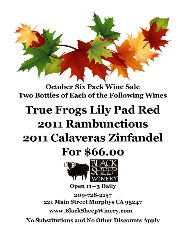 Black Sheep Winery’s Six Bottles Of Wine October Special