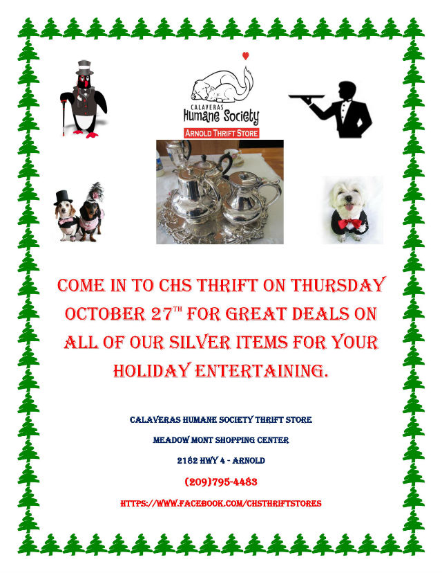 Arnold CHS Thrift Holiday Silver Sale October 27th