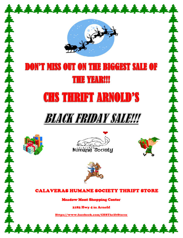 Calaveras Humane Society’s Thrift Store Is Your Black Friday Destination
