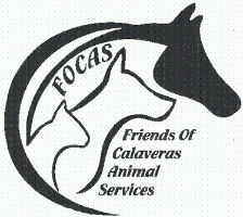 A Thank You From FOCAS To The Community