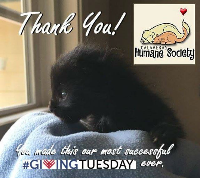 A Special Thanks From The Calaveras Humane Society