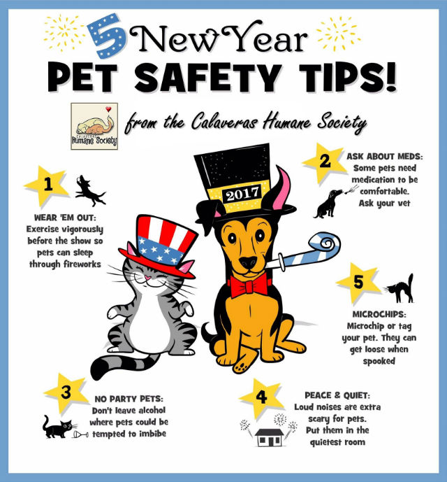Pet Safety Tips For The New Year