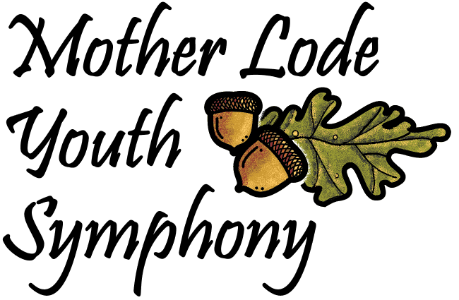 Mother Lode Youth Symphony Winter Concert