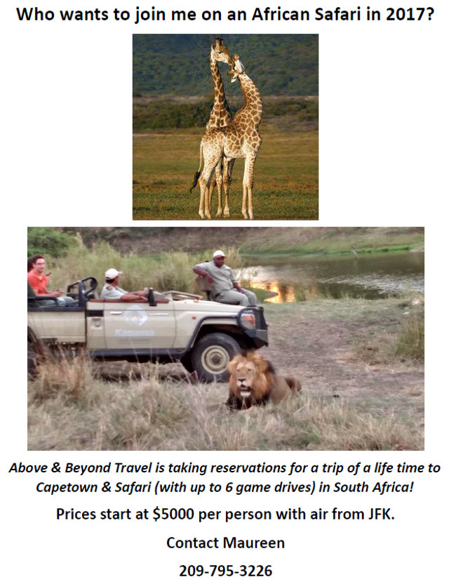 Join Above & Beyond Travel On A Safari Of A Lifetime!!