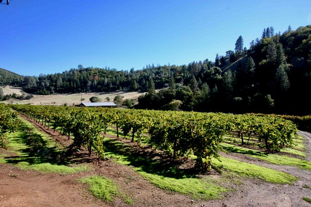 744 Total Acres, 64 Vineyard Acres, Three Homes, State Water Rights & More! $3,600,000
