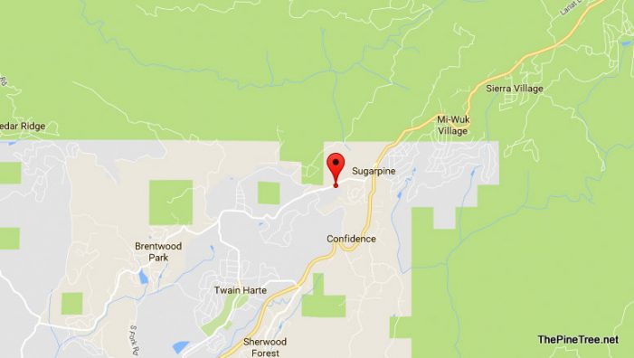 Traffic Update…Middle Camp Sugar Pine Road Closed Due To Tree Into Powerline