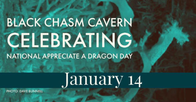 Celebrate National Appreciate A Dragon Day At Black Chasm Cavern, January 14th!