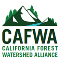Conservation, Water, Forestry & Rural Communities Agree On Ecologically Sound Forest Management