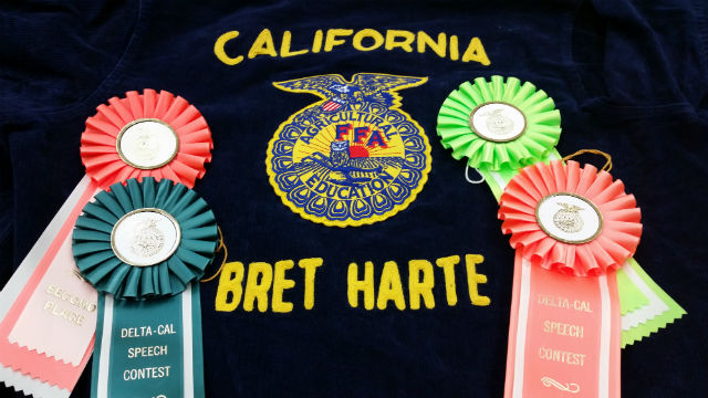Bret Harte FFA Shines At The Sectional FFA Competition