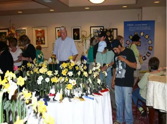 The 22nd Annual Mother Lode Daffodil Show March, 18th-19th