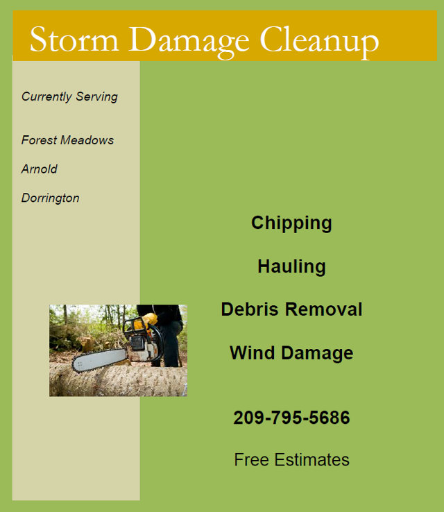 Need Help With Storm Damage Cleanup?