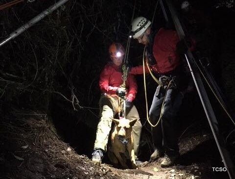 Jack Rescued From Mineshaft By Tuolumne County Search & Rescue Team