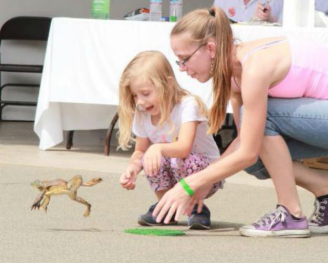 Get A Jump Start On Frog Fun At The Calaveras County Fair & Jumping Frog Jubilee