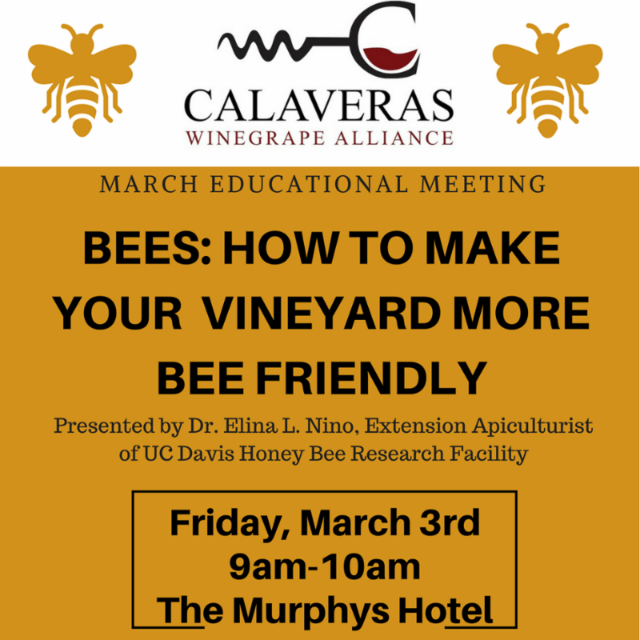 Save The Honey Bees! ~ March Educational Meeting