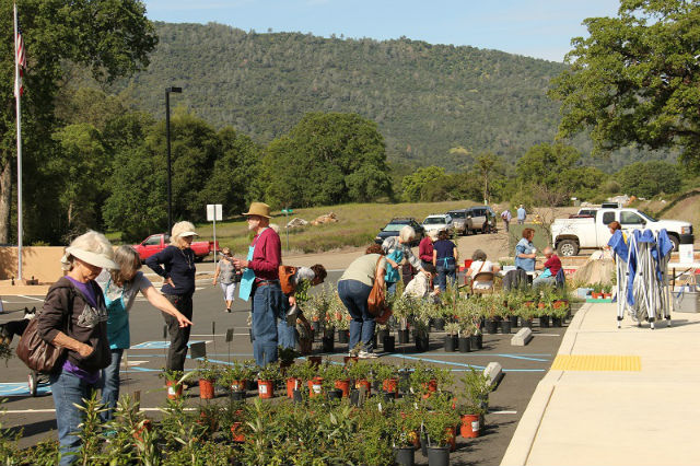 CCWD Partners With CNPS To Host Fourth Annual Native Plant Sale