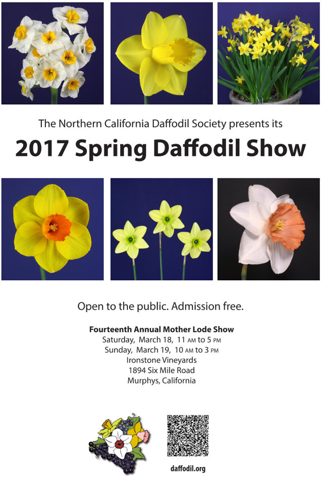 Don’t Miss The 2017 Daffodil Show At Ironstone Vineyards