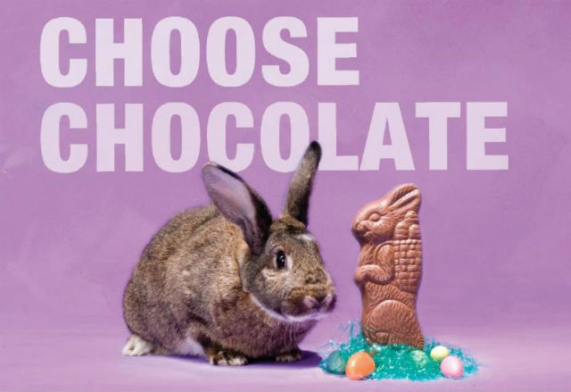 Choose Chocolate….Not Live Bunnies