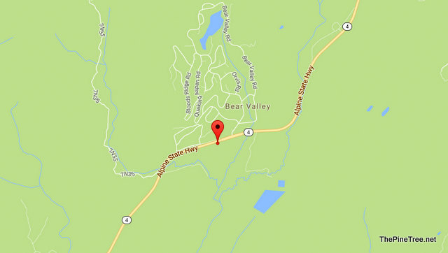 Traffic Update….Canine Casualty In Collision In Bear Valley